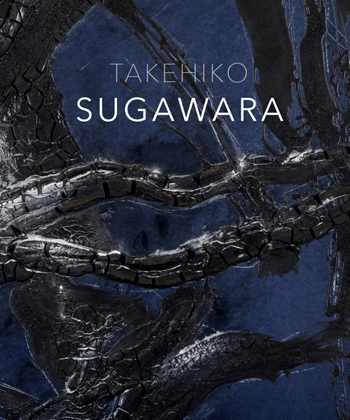 Takehiko SUGAWARA